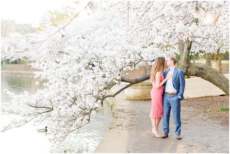 cherry blossom dating|About Us – Blossoms Dating Blog